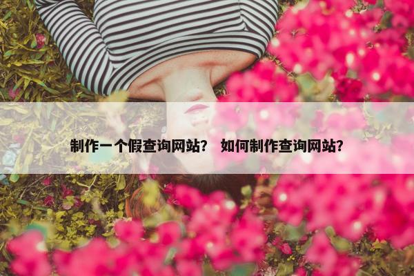 制作一个假查询网站？ 如何制作查询网站？