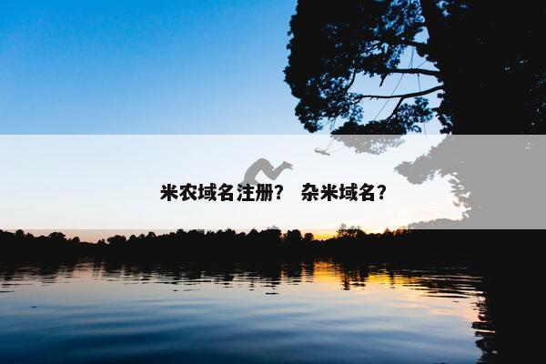 米农域名注册？ 杂米域名？