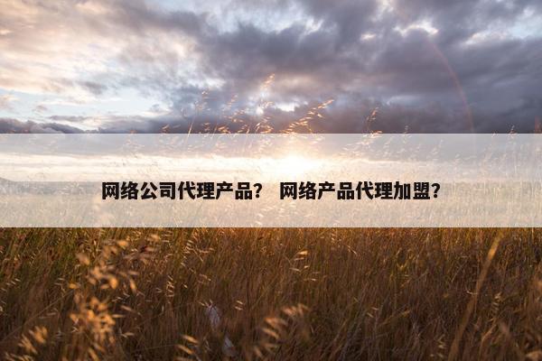 网络公司代理产品？ 网络产品代理加盟？