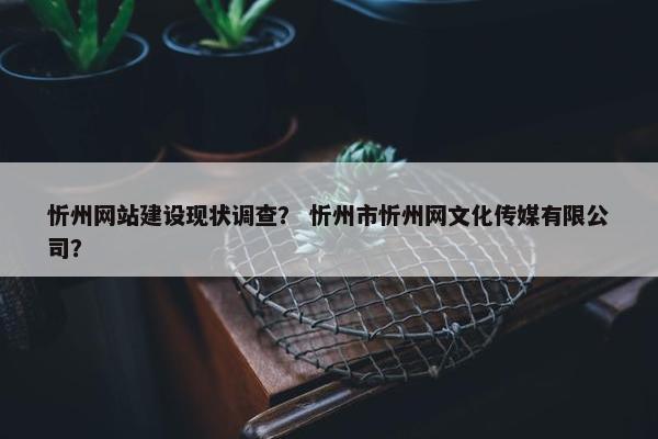 忻州网站建设现状调查？ 忻州市忻州网文化传媒有限公司？