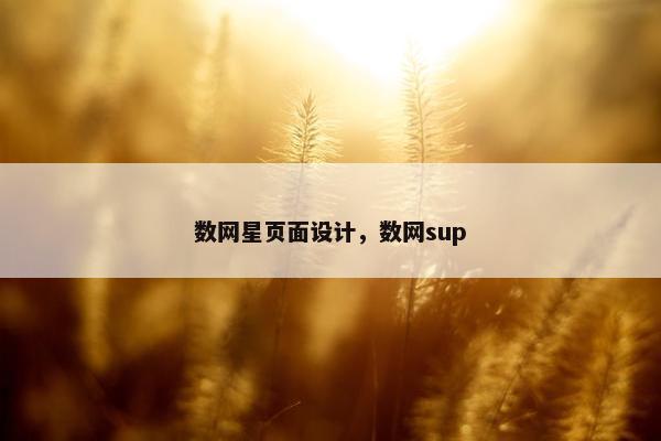数网星页面设计，数网sup