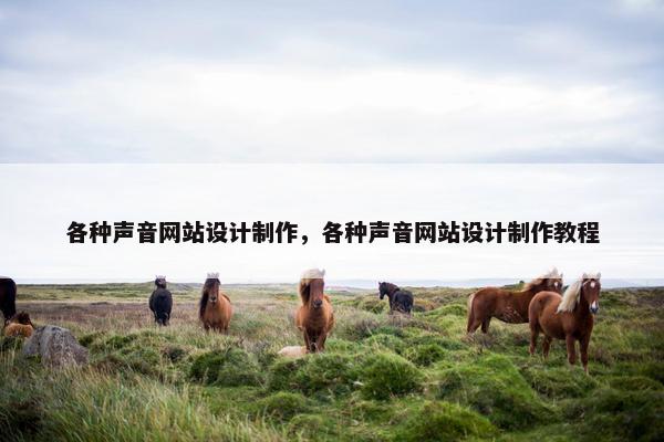 各种声音网站设计制作，各种声音网站设计制作教程