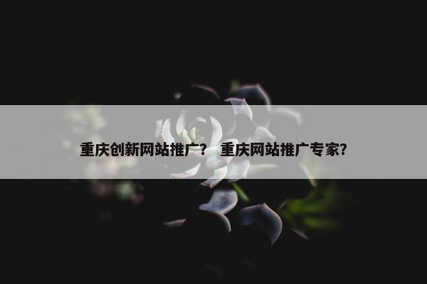 重庆创新网站推广？ 重庆网站推广专家？