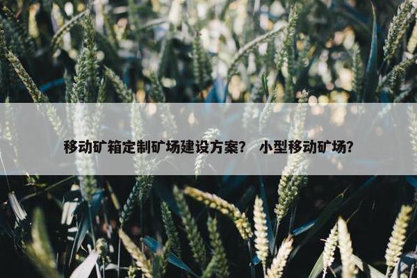移动矿箱定制矿场建设方案？ 小型移动矿场？