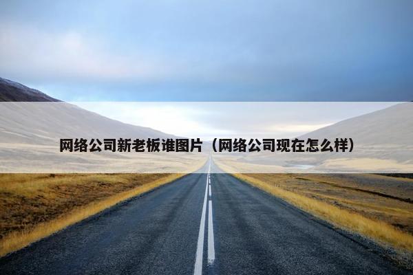 网络公司新老板谁图片（网络公司现在怎么样）