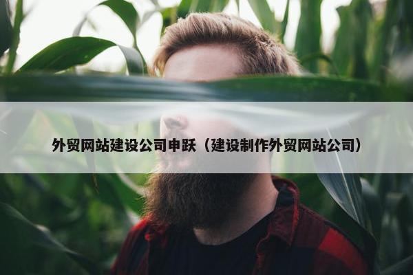 外贸网站建设公司申跃(建设制作外贸网站公司) 外贸网站建设公司申跃(建设制作外贸网站公司)