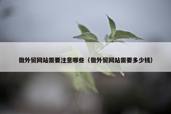 做外贸网站需要注意哪些（做外贸网站需要多少钱）