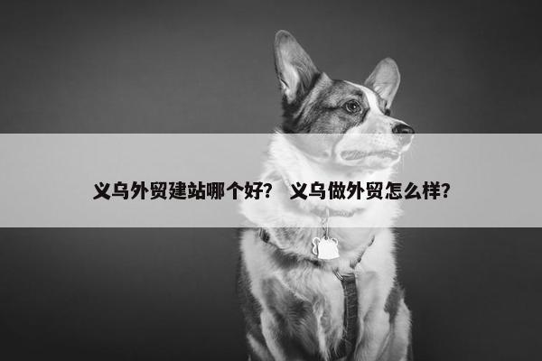 义乌外贸建站哪个好？ 义乌做外贸怎么样？