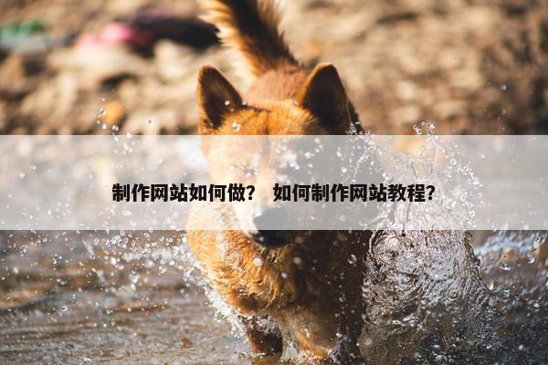 制作网站如何做？ 如何制作网站教程？