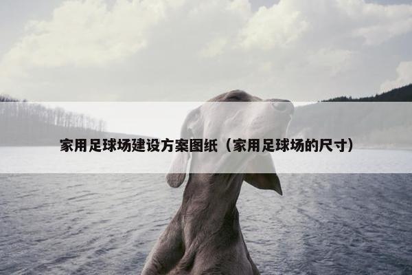 家用足球场建设方案图纸（家用足球场的尺寸）