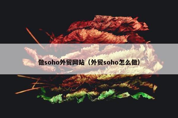 做soho外贸网站（外贸soho怎么做）