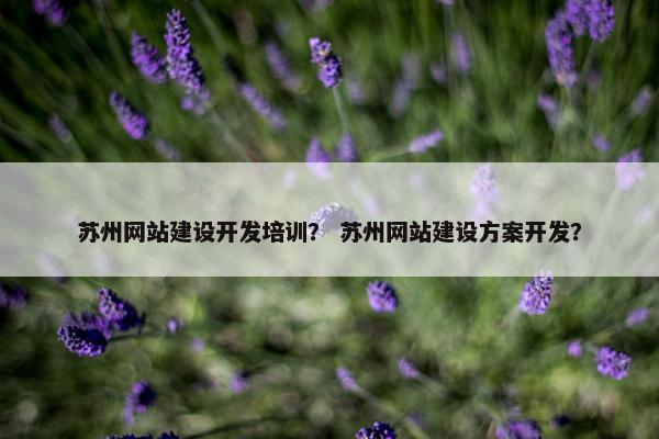 苏州网站建设开发培训？ 苏州网站建设方案开发？