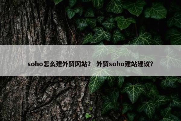 soho怎么建外贸网站？ 外贸soho建站建议？