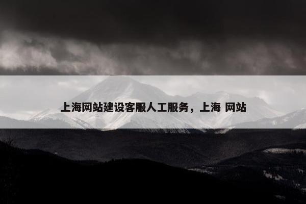 上海网站建设客服人工服务，上海 网站