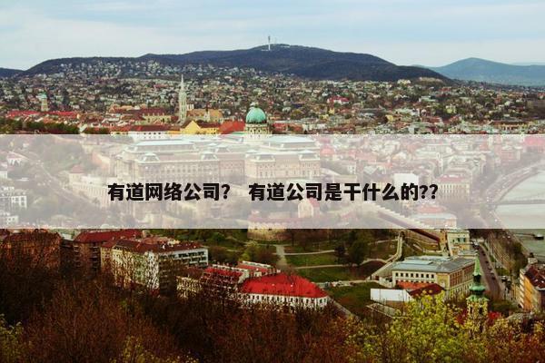 有道网络公司？ 有道公司是干什么的?？