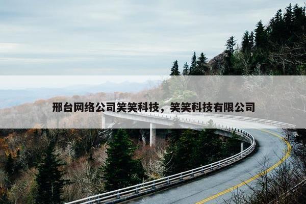 邢台网络公司笑笑科技，笑笑科技有限公司