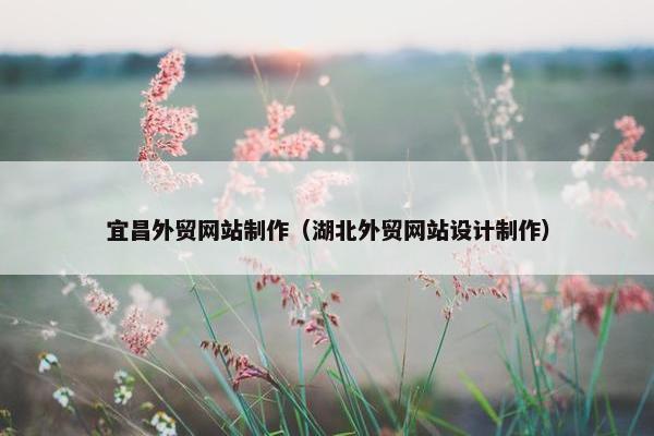 宜昌外贸网站制作（湖北外贸网站设计制作）