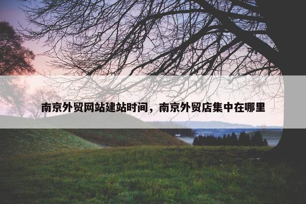 南京外贸网站建站时间，南京外贸店集中在哪里