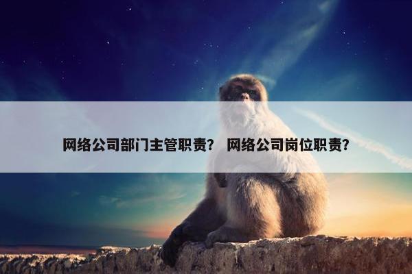 网络公司部门主管职责？ 网络公司岗位职责？