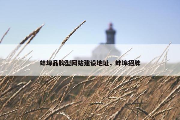 蚌埠品牌型网站建设地址，蚌埠招牌