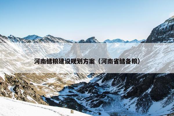 河南储粮建设规划方案（河南省储备粮）