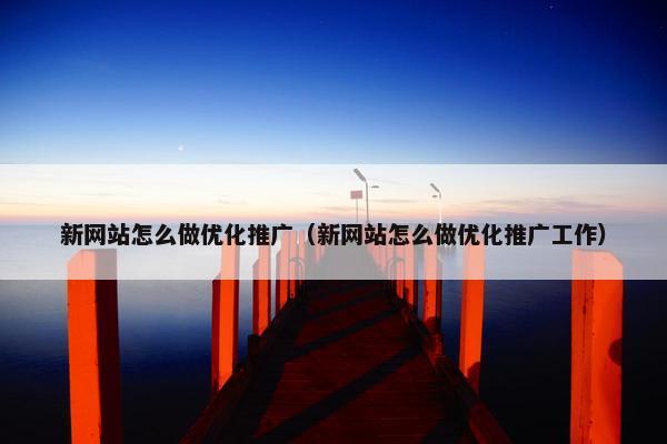 新网站怎么做优化推广（新网站怎么做优化推广工作）