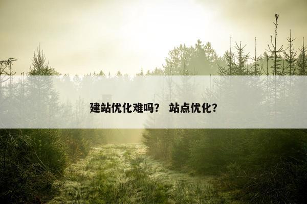 建站优化难吗？ 站点优化？