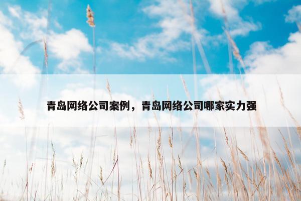 青岛网络公司案例，青岛网络公司哪家实力强
