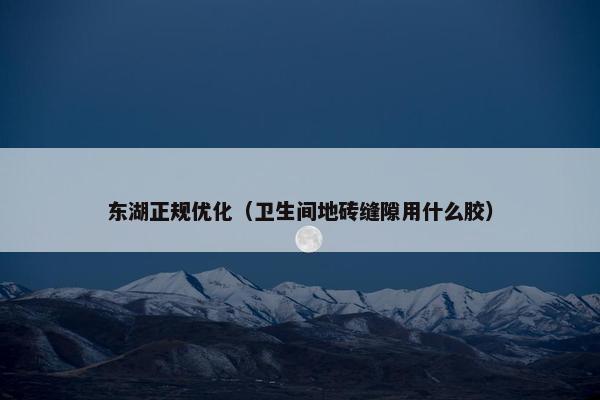 东湖正规优化（卫生间地砖缝隙用什么胶）