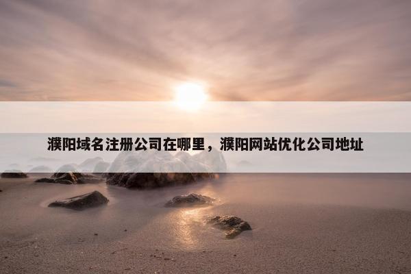 濮阳域名注册公司在哪里，濮阳网站优化公司地址