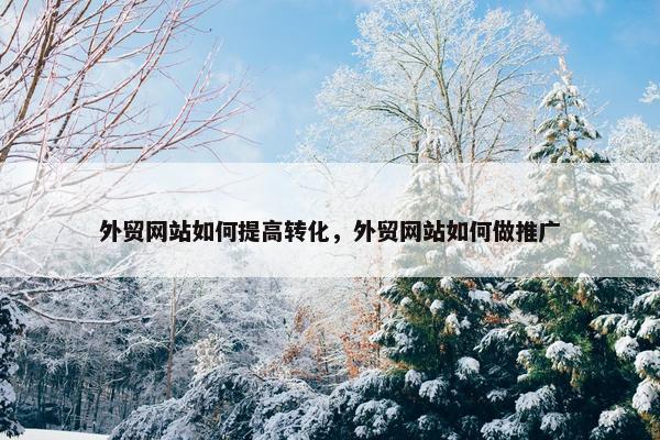 外贸网站如何提高转化，外贸网站如何做推广