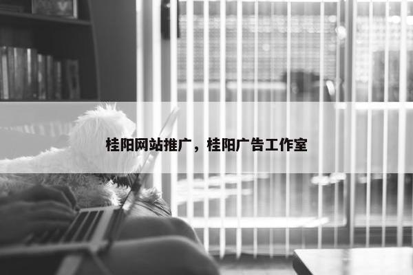 桂阳网站推广，桂阳广告工作室