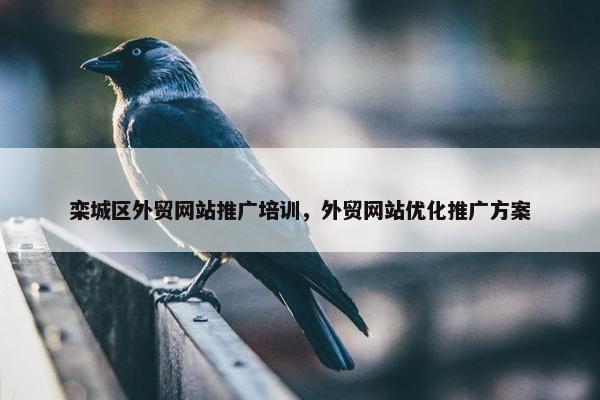 栾城区外贸网站推广培训，外贸网站优化推广方案