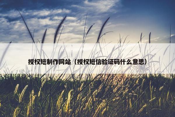 授权短制作网站（授权短信验证码什么意思）