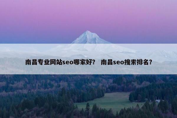 南昌专业网站seo哪家好？ 南昌seo搜索排名？