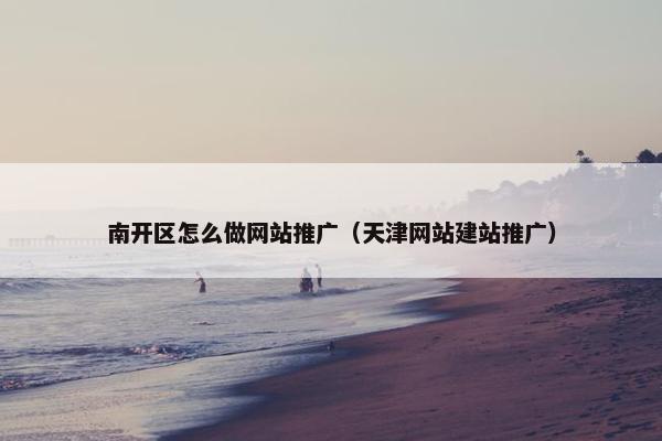 南开区怎么做网站推广（天津网站建站推广）