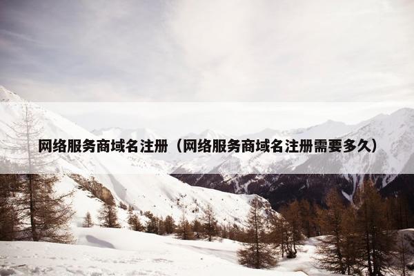 网络服务商域名注册（网络服务商域名注册需要多久）
