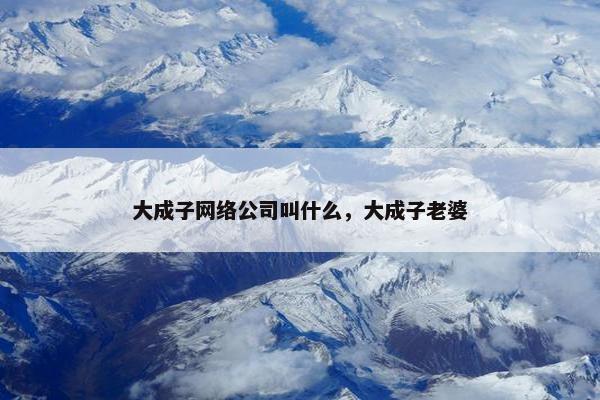大成子网络公司叫什么，大成子老婆