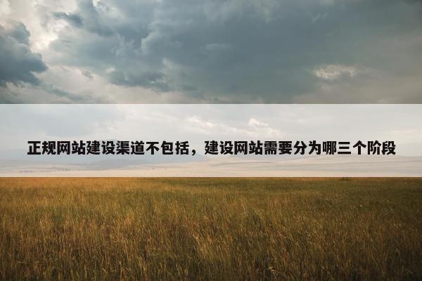 正规网站建设渠道不包括，建设网站需要分为哪三个阶段