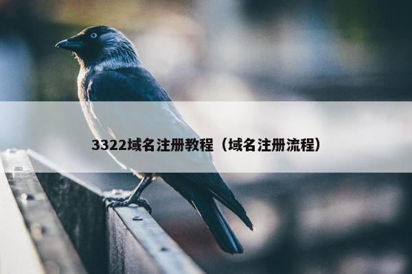 3322域名注册教程（域名注册流程）
