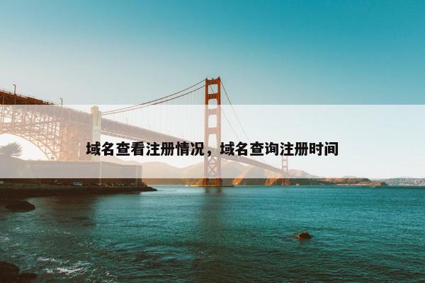 域名查看注册情况，域名查询注册时间