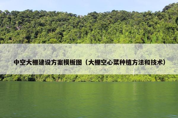 中空大棚建设方案模板图（大棚空心菜种植方法和技术）