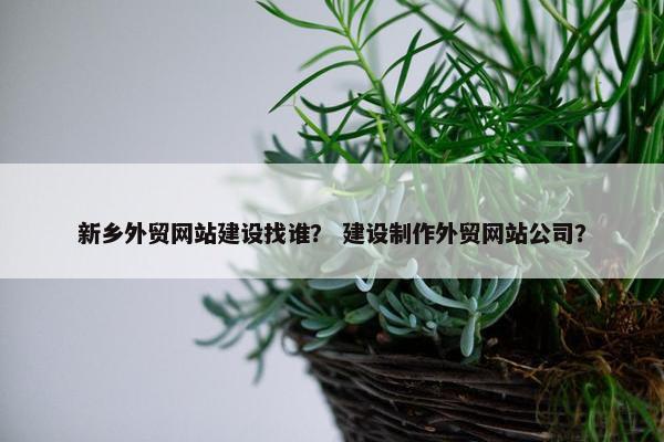 新乡外贸网站建设找谁？ 建设制作外贸网站公司？