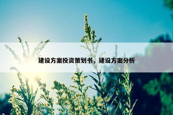 建设方案投资策划书，建设方案分析