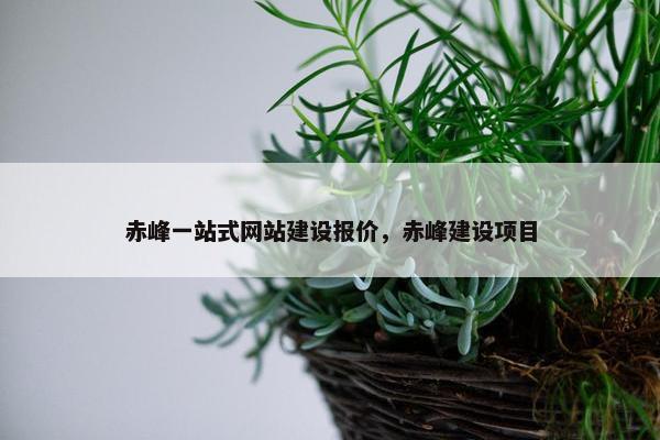 赤峰一站式网站建设报价，赤峰建设项目