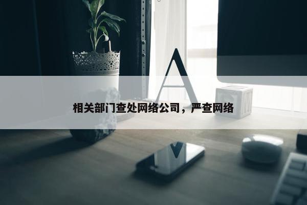 相关部门查处网络公司，严查网络