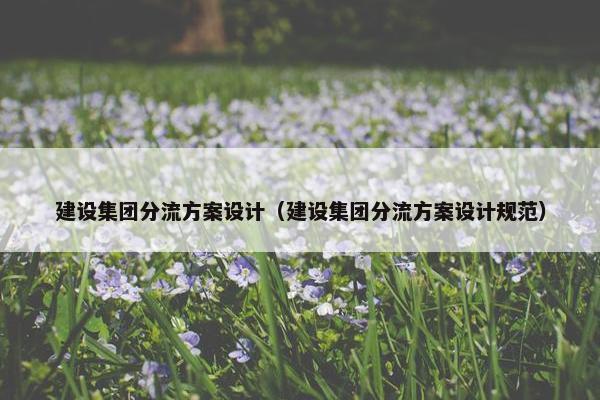 建设集团分流方案设计（建设集团分流方案设计规范）