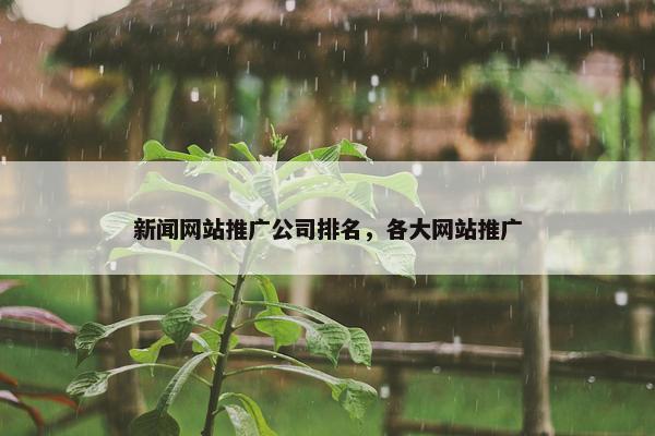 新闻网站推广公司排名，各大网站推广