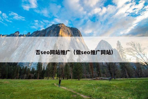 否seo网站推广（做seo推广网站）