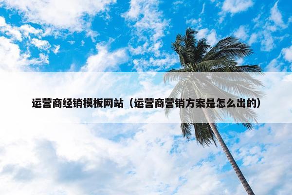 运营商经销模板网站（运营商营销方案是怎么出的）